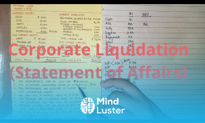 Corporate Liquidation Statement of Affairs Introduction