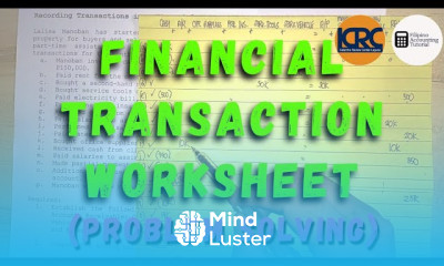 Problem Solving Recording Transactions in a Financial Transaction Worksheet