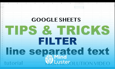 Google Sheets Tips and Tricks Split Filter Line Separated List