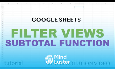 Google Sheets Filter Views SUBTOTAL Function Tutorial
