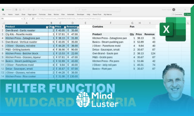 Excel FILTER Function with WILDCARD Criteria Partial Match Contains Begins With Ends With