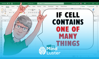 Excel If Cell Contains ONE of MANY THINGS