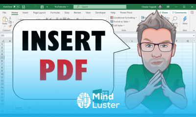 How to EMBED INSERT LINK a PDF File in an Excel Cell