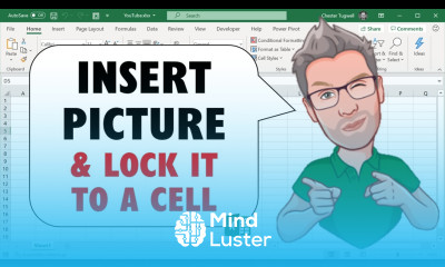 Insert an Image into an Excel Cell Lock it to the Cell for Sorting and Filtering