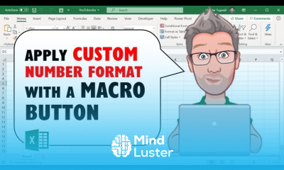 Apply Excel Customer Number Formats with a VBA Macro Button