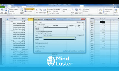 Project 2010 Creating Budget Resources Comparing with Project Costs