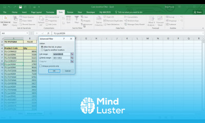 Perform a Case Sensitive Filter in Excel