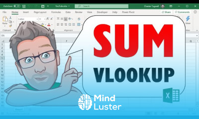 VLOOKUP Sum ALL Matching Values Or Sum ENTIRE MATCHING ROW or COLUMN