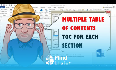 Multiple Table of Contents in Word TOC for Each Section