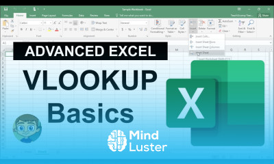Advanced Excel VLOOKUP Basics