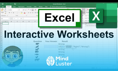 Create Interactive Worksheets in Excel by Using the IF and COUNTIF Functions