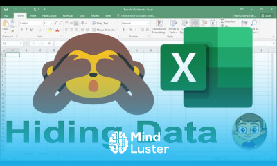 Hiding Data in Excel