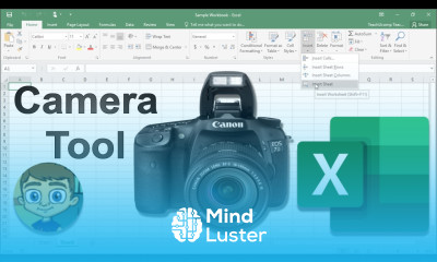 Using the Camera Tool in Excel