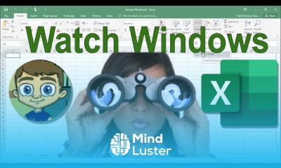 Using Watch Windows in Excel