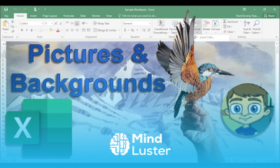 Adding Pictures and Backgrounds into Excel