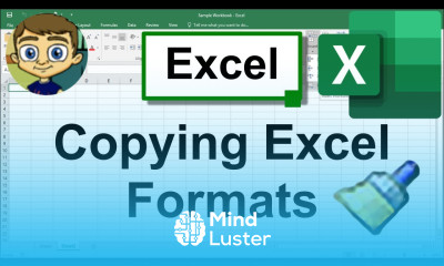 Copying Excel Formats Format Painter More