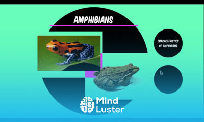 Prezi Next Tutorial New Version of Prezi