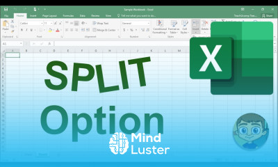 Excel Tutorial Using the Split Option to See Your Data