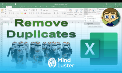 Remove Duplicates Tool in Excel