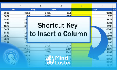 Shortcut Key to Insert a Column in Excel Excel Shortcuts