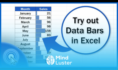 How to use Data Bars in Excel