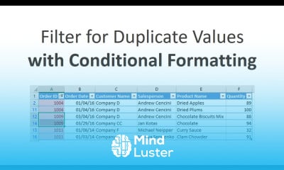 Learn How To Filter For Duplicates Using Conditional Formatting In ...