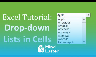 Learn How to Create Drop Down Lists in Cells The Complete Excel Guide ...