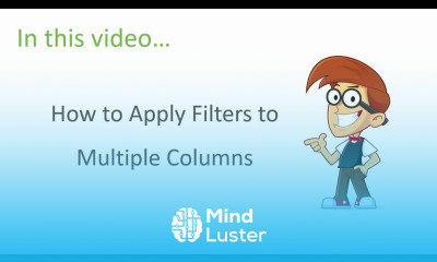 Excel Filters Training Multiple Column Filters Part 3 of 3