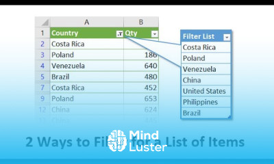 Get Filtered 2 Ways To Filter For A List Of Items In Excel