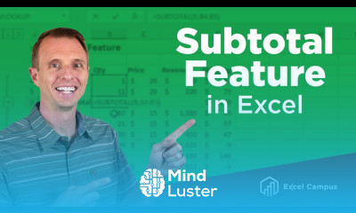 How To Use The Subtotal Feature And Subtotal Function In Excel