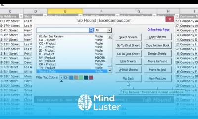 Tab Hound Flip Back Demo