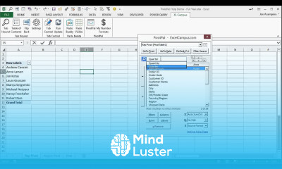 PivotPal Guide Search the Pivot Table Field List and Select Multiple Items