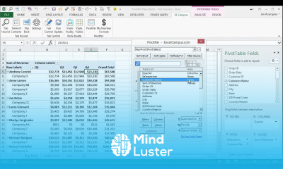 PivotPal Guide The Pivot Table Field List Selecting Multiple Items
