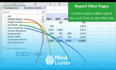 Create Multiple Pivot Table Reports with Show Report Filter Pages
