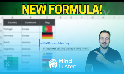Image Function in Excel New Formula to Get Images Directly from the Internet to Spreadsheet