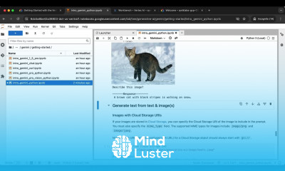 Getting Started with the Vertex AI Gemini API and Python SDK GSP1209