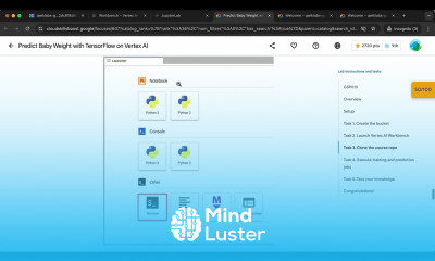 Predict Baby Weight with TensorFlow on Vertex AI GSP013