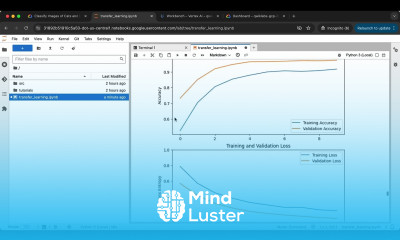 Classify Images of Cats and Dogs using Transfer Learning GSP900