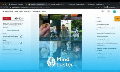 Awwvision Cloud Vision API from a Kubernetes Cluster GSP066
