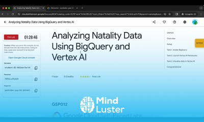 Analyzing Natality Data Using BigQuery and Vertex AI GSP012