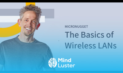 The Basics of Wireless LANs