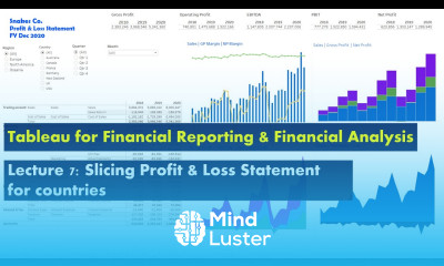 Lecture 7 Slicing Profit and Loss Statement for country Course Tableau for Financial Reporting