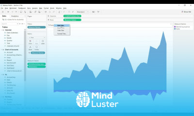 Lecture 25 Income Statement dashboard Sales Marketing expense Chart Course Tableau for FR FA