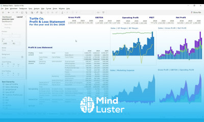 Lecture 27 Income Statement dashboard formatting dashboard Course Tableau for FR FA