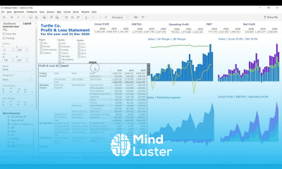 Lecture 28 Income Statement dashboard Adding slicers Course Tableau for FR FA