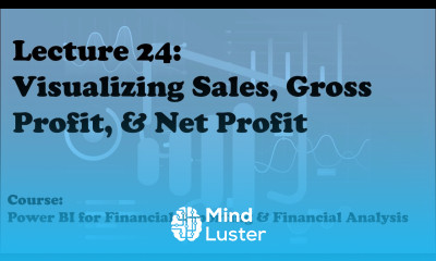 Lecture 24 Visualizing Sales Gross Net Profit Course Financial Reporting Analysis with PBI