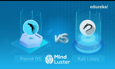 Kali Linux vs ParrotOS Which One You Should Learn Edureka