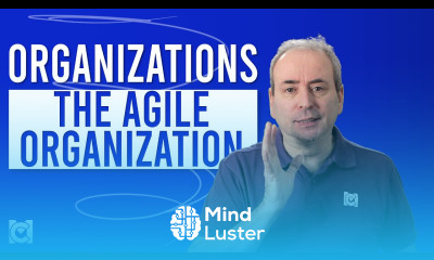 Learn What is The Agile Organization - Mind Luster