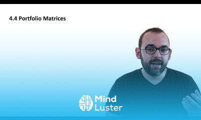 4 4 Portfolio Matrices