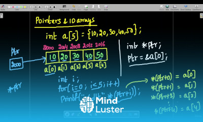 Learn 50 Pointers and 1D Arrays in C Unleash the Power of Dynamic ...